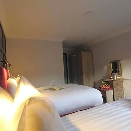 The Dutch Tulip Hotel Mallow